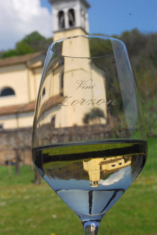 Agriturismo Domus Rustica Cormòns Exterior foto